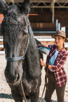 selective focus of attractive cowgirl cleaning black horse with brush at ranch