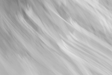 Obraz premium beautiful black and white unusual abstract background