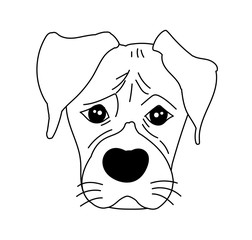 Monochrome boxer dog cute head and expression face - Vector hand drawn illustration isolated on white background