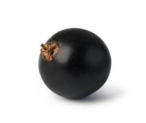 Black currant