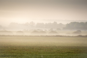 Obraz na płótnie Canvas Foggy morning in the haze landscape.