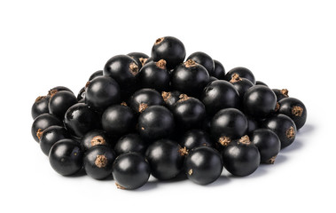 Black currant