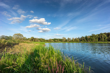 Fototapeta na wymiar Summer landscape with lake.