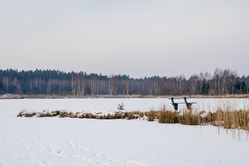 snowy winter countryside scene with snow and frozen trees