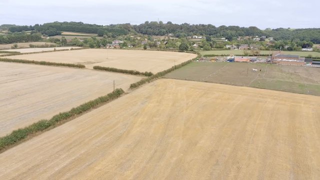 Aerial view, sideways move. Yellow wheat or rye stubble field in Cheshire. Equestrian property with horses in background