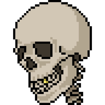 vector pixel art skull