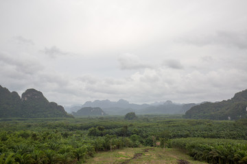 landscape in asia on a cloudy day