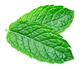 mint leaves isolated