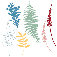 Fototapeta na wymiar Botanical illustration with herbs, plants, flowers and leaves. Isolated vector silhouettes on white background. Graphic design for background, card, web banner, poster, invitation.