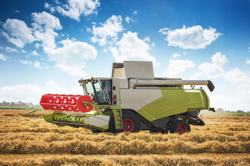 Harvesting wheat harvester on a sunny summer day