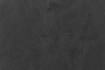 Fototapeta premium Black elegance leather texture for background with visible details 