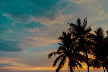 Fototapeta na wymiar Sunset with coconut palm tree background 