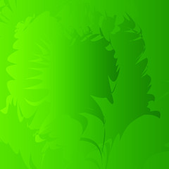 Green color wallpaper
