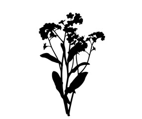 vector, isolated silhouette of a plant