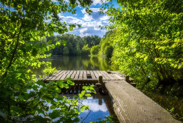Fototapeta na wymiar Bootssteg am See umrahmt von frischen grünen Bäumen