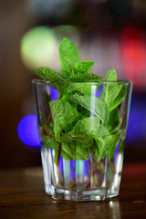 fresh mint is in a glass for cooking mojito on the table in the cafe. Close-up