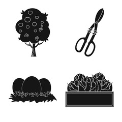 Vector illustration of farm and agriculture icon. Collection of farm and plant stock vector illustration.