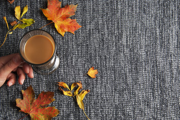 Woman hand holding chocolate or cocoa drink cup over knitted grey background, cosy autumn background with copy space. Still life.