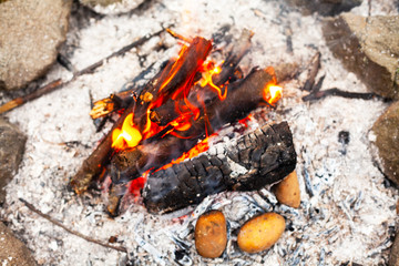 potatoes on a fire