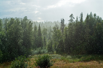 Rainy day in Norway in summer 2009