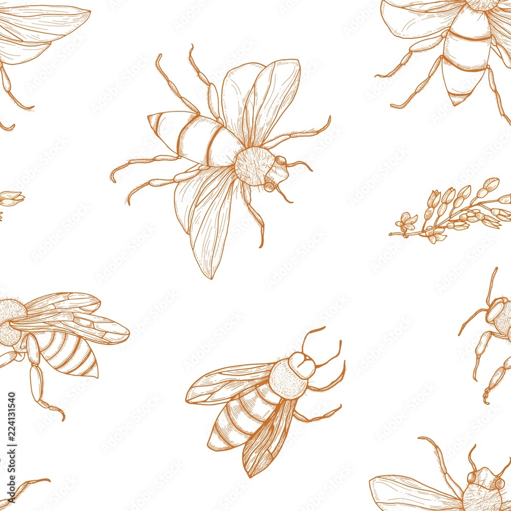 Poster elegant seamless pattern with honey bees hand drawn with contour lines on white background. apicultu