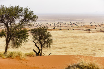 Landschaft im Tsondab Valley Nature Reserve, Namib-Naukluft-Nationalpark