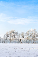 Winterlandschaft