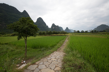 landscape in asia on a cloudy day