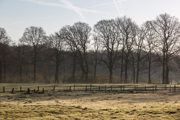 Herbstimpressionen