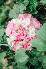 Wedding rings on white pink weddding bouquet.