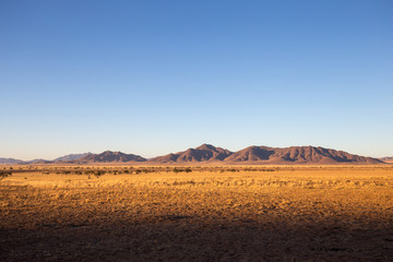 landscape of africa in the sunset