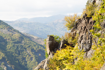 Autumn and summer mingled. Rocky Mountains