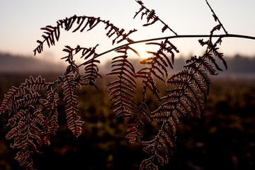 Herbstimpressionen