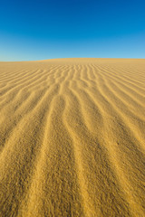 Sand dunes on Fraser Island Australia