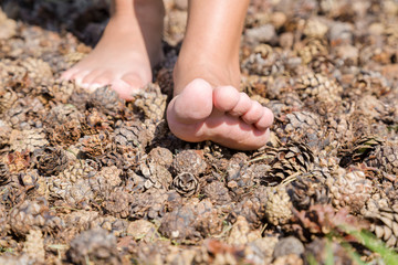 Woman walking on brown, dry fallen pine cones in the forest. Natural massage on special trail. Care about healthy body. Front view. Close up.
