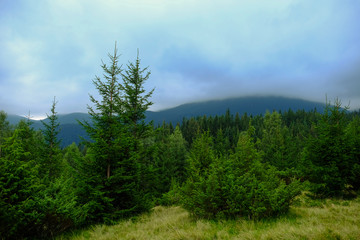 Foggy summer morning in the mountains. Carpathian, Ukraine, Europe. Beauty world.