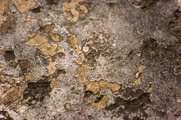 Dilapidated stone surface is macro, soft focus