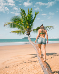 Palm tree on Mission Beach, Queensland, Australia