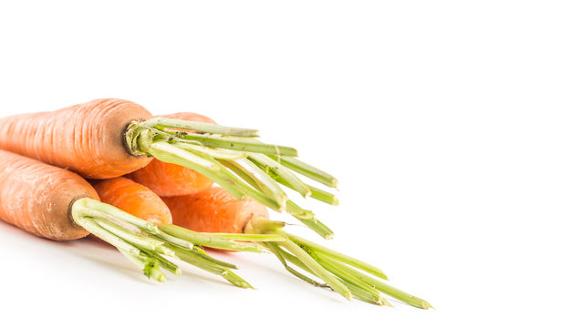 Close-up fresh carrots isolated on white.