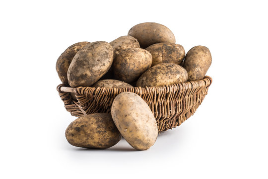 Ripe dirty potatoes in wood basket isolated on white.