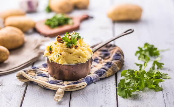 Mashed potatoes in pan decorated with parsley herbs.