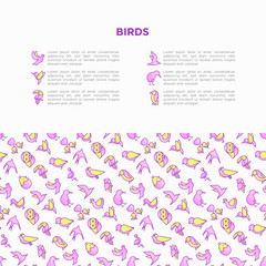 Fototapeta na wymiar Birds concept with thin line icons set: dove, owl, penguin, sparrow, swallow, kiwi, parrot, eagle, humming bird, pink flamingo. Modern vector illustration, print media template.