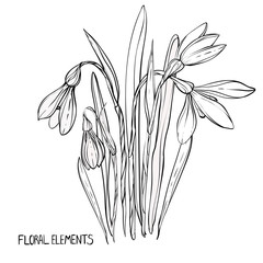 snowdrops,coloring books for children and adults, flowers,ink, pen, leaves, buds, handmade,floral elements, black and white