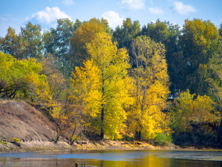 Autumn trees on the lake side