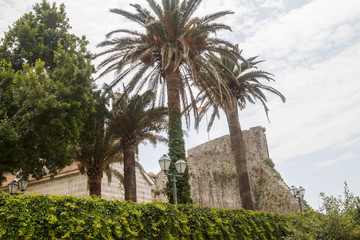Fototapeta na wymiar palms and facade of old historical church in Old town Budva, Montenegro