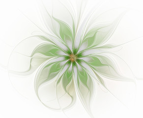 Abstract fractal green flower on a white background