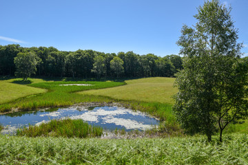 Charming pond in the picturesque park at Malcantone valley on Switzerland