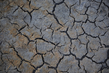 Cracks in dry mud form patterns
