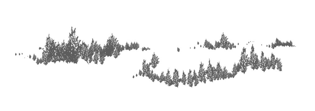 Woodland horizontal natural landscape with silhouettes of spruce, larch or fir trees. Forest panoramic view. Decorative design element in black and white colors. Monochrome vector illustration.