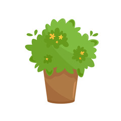Organic culinary garden on a kitchen windowsill. Potted greenery in terracota clay flowerpot. Cartoon style domestic plant with yellow flowers. Vector illustration isolated on white.